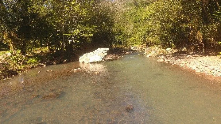 Sítio à venda de 19 ha em Riozinho, RS, Brasil