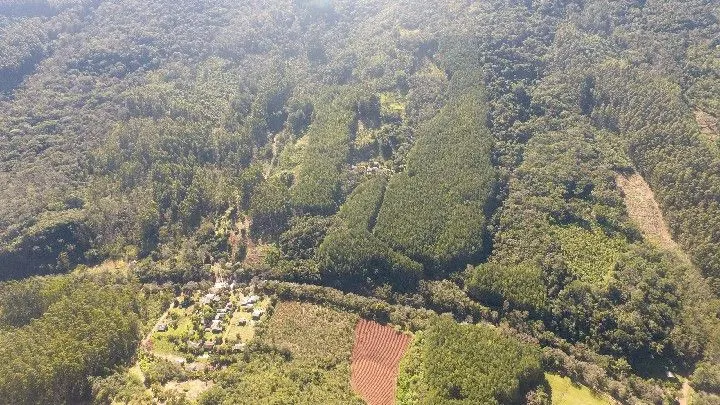 Sítio à venda de 19 ha em Riozinho, RS, Brasil