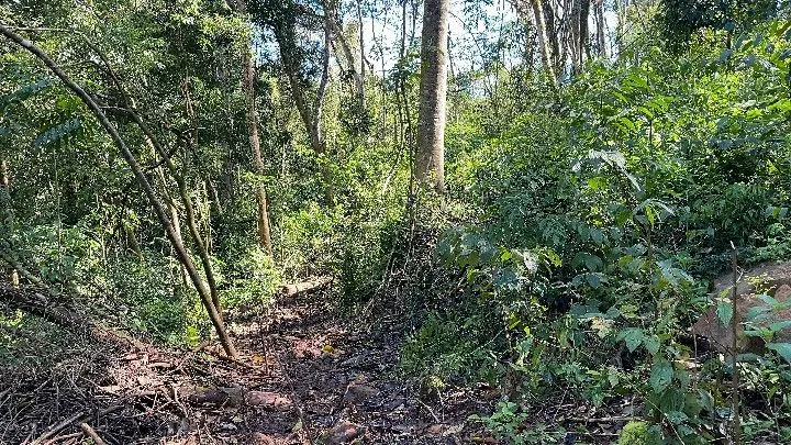 Sítio à venda de 19 ha em Riozinho, RS, Brasil