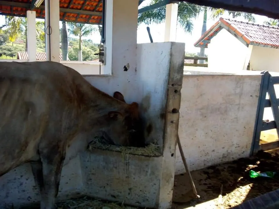 Country home for sale of 16 acres in Tatuí, SP, Brazil