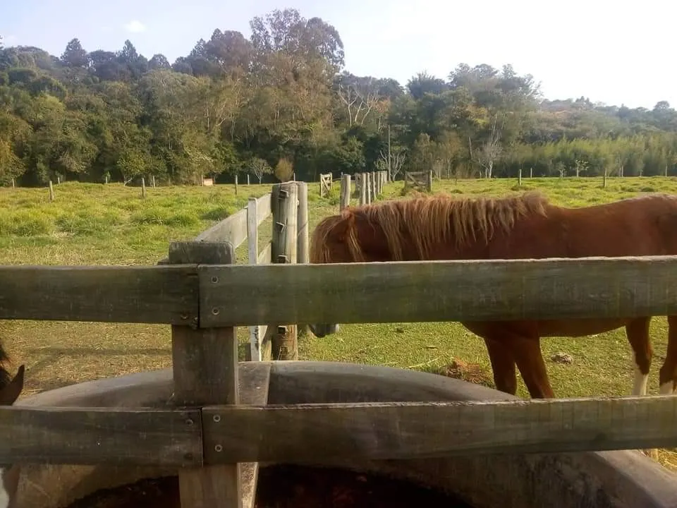 Country home for sale of 16 acres in Tatuí, SP, Brazil
