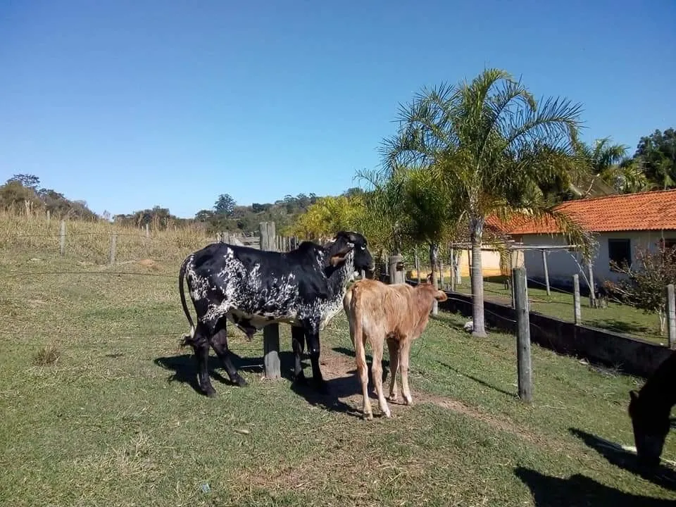 Country home for sale of 16 acres in Tatuí, SP, Brazil