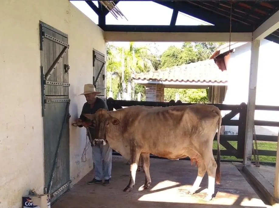 Country home for sale of 16 acres in Tatuí, SP, Brazil