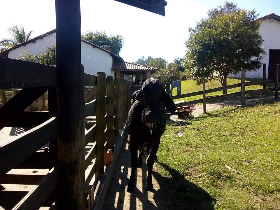 Country home for sale of 16 acres in Tatuí, SP, Brazil