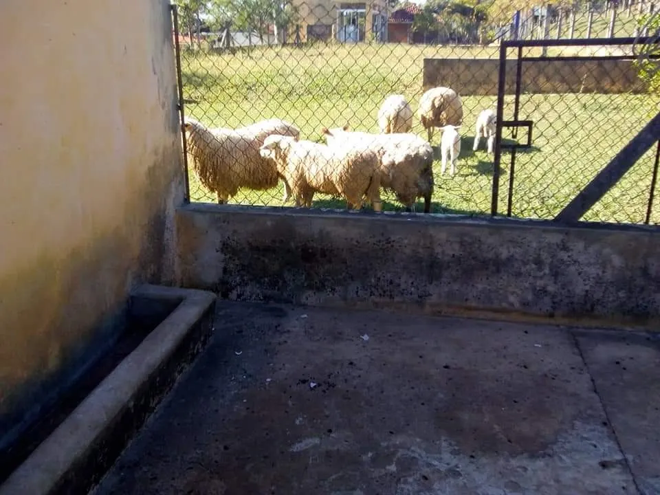Country home for sale of 16 acres in Tatuí, SP, Brazil