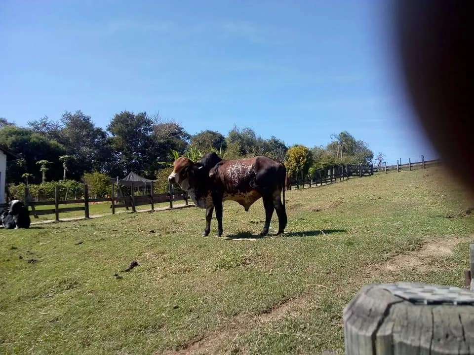 Country home for sale of 16 acres in Tatuí, SP, Brazil