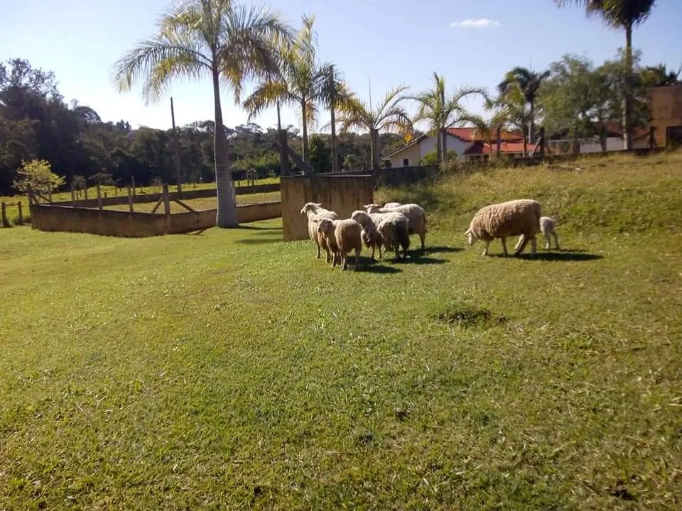 Country home for sale of 16 acres in Tatuí, SP, Brazil