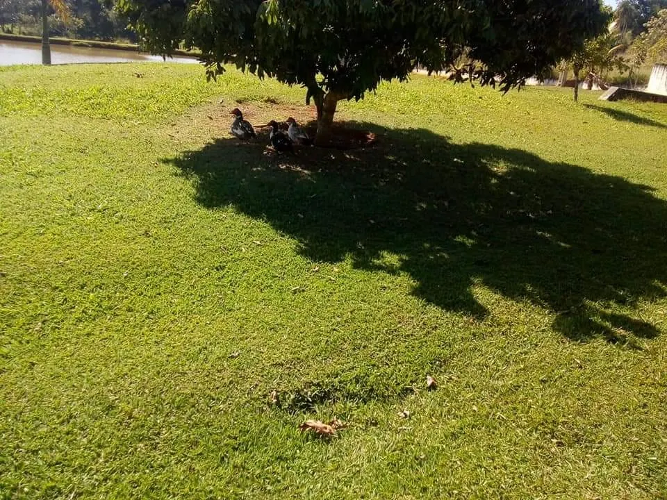 Country home for sale of 16 acres in Tatuí, SP, Brazil