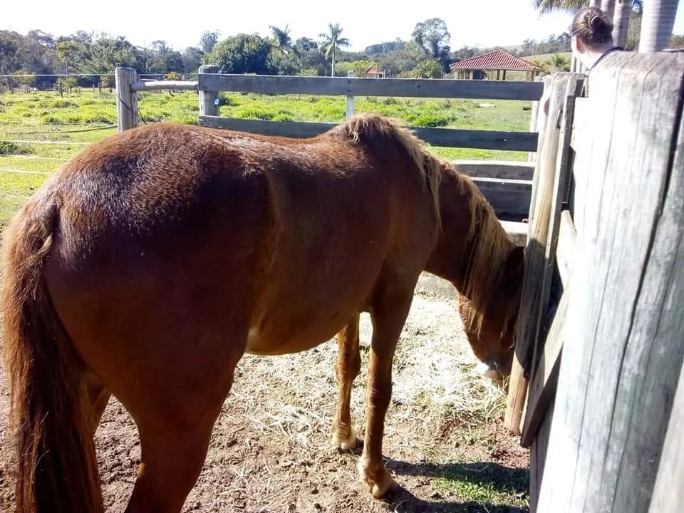 Country home for sale of 16 acres in Tatuí, SP, Brazil