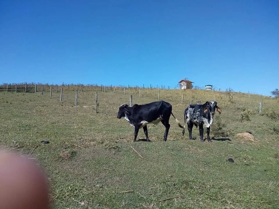 Country home for sale of 16 acres in Tatuí, SP, Brazil