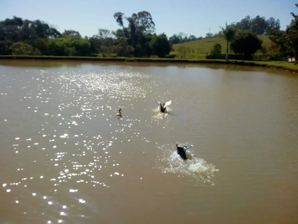 Country home for sale of 16 acres in Tatuí, SP, Brazil