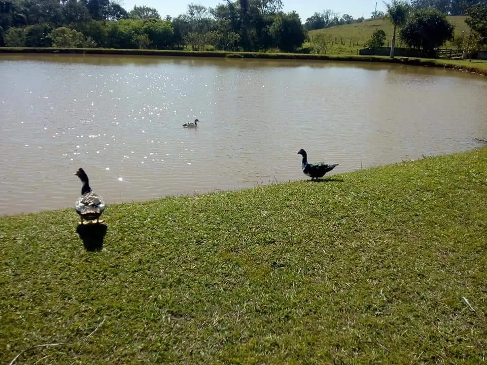 Country home for sale of 16 acres in Tatuí, SP, Brazil