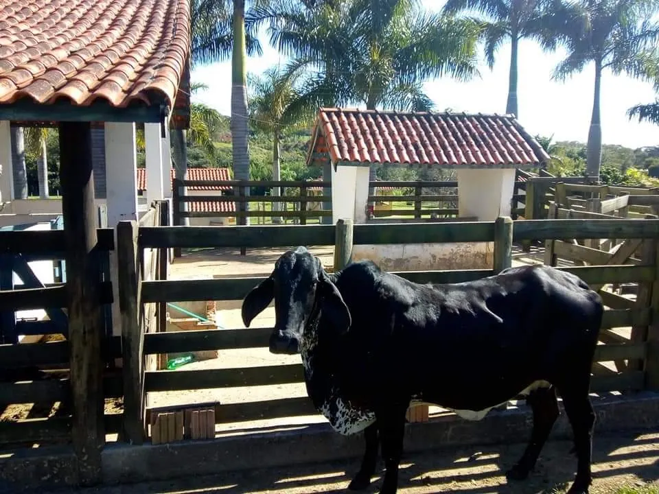 Country home for sale of 16 acres in Tatuí, SP, Brazil