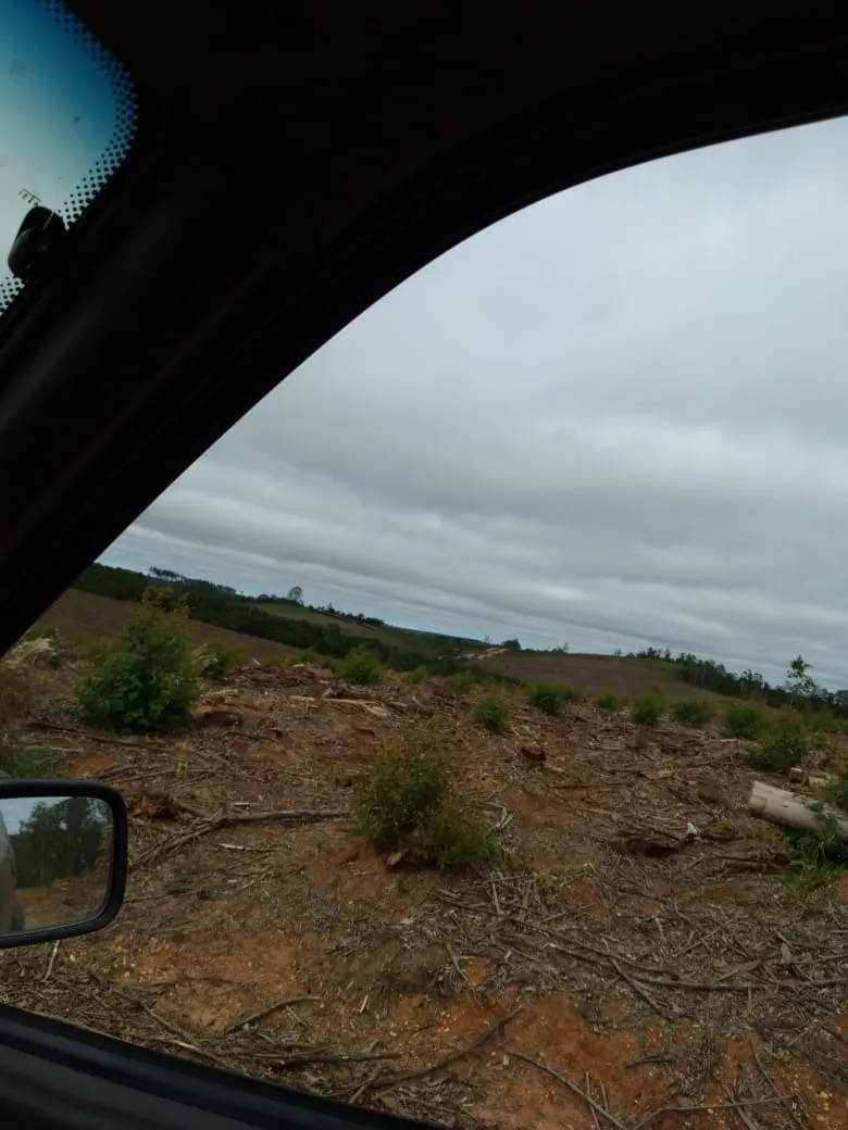 Farm for sale of 4,856 acres in Itapetininga, SP, Brazil