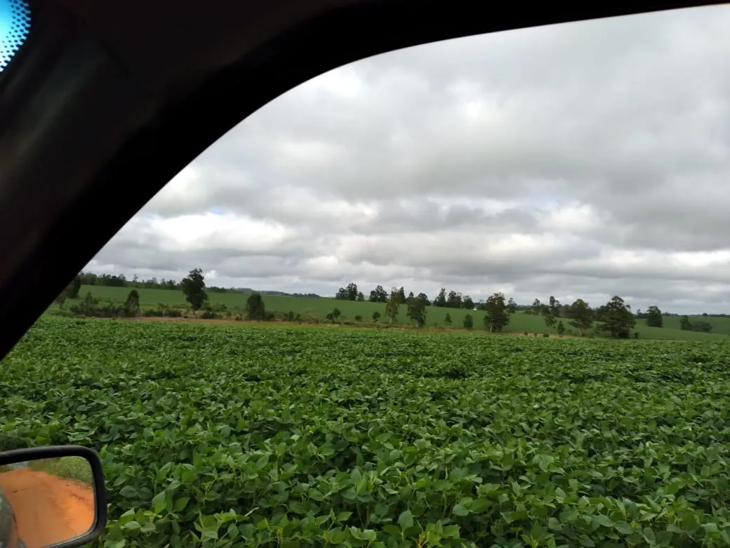 Farm for sale of 4,856 acres in Itapetininga, SP, Brazil