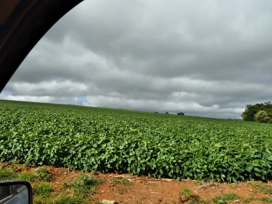 Farm for sale of 4,856 acres in Itapetininga, SP, Brazil