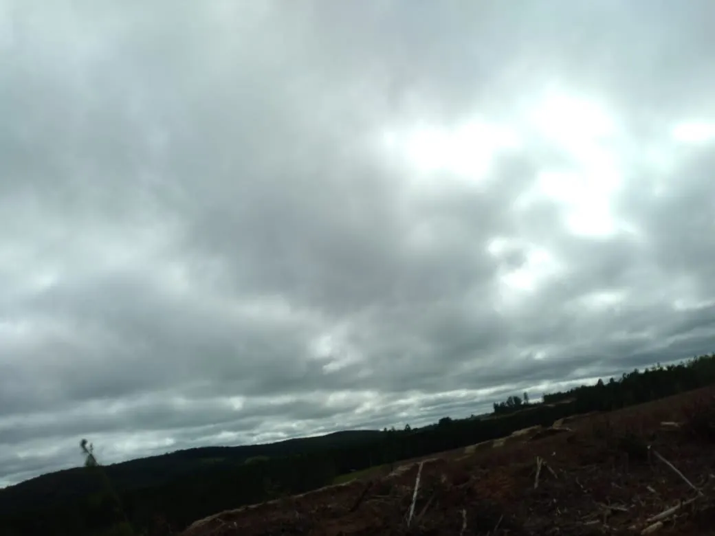 Farm for sale of 4,856 acres in Itapetininga, SP, Brazil