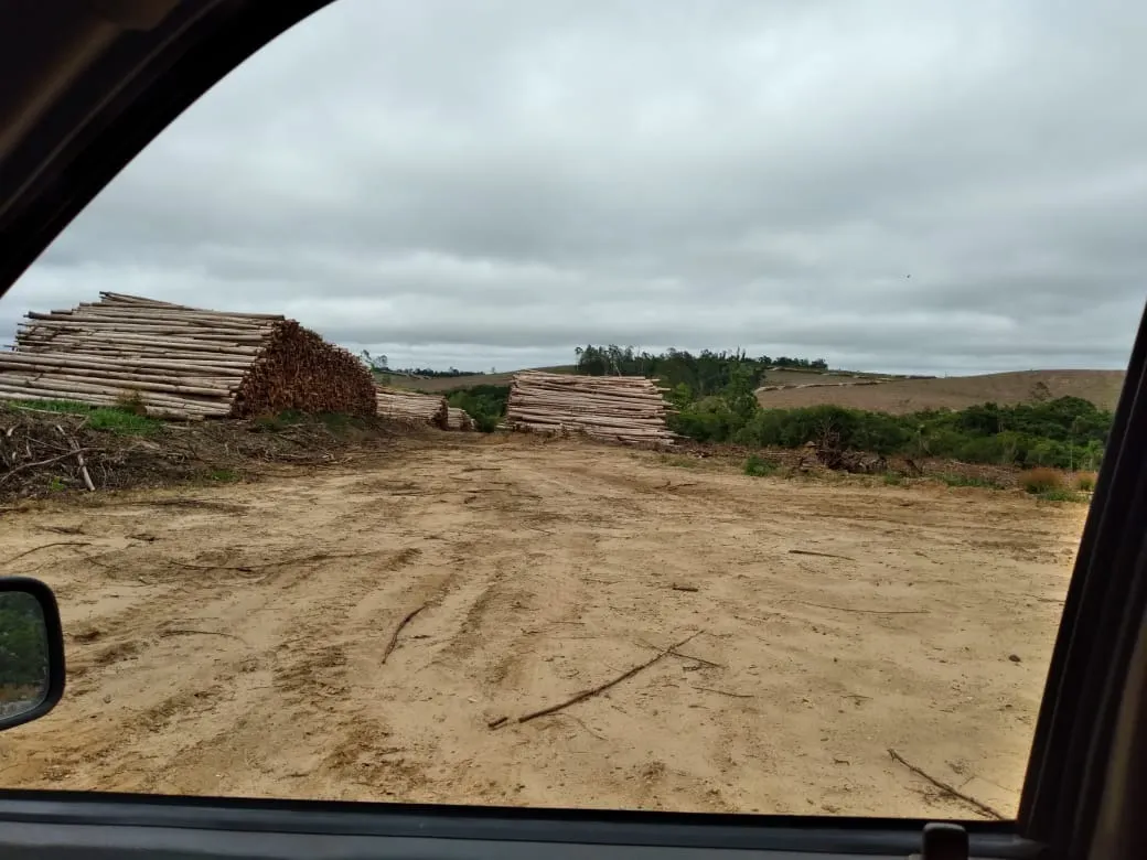 Farm for sale of 4,856 acres in Itapetininga, SP, Brazil