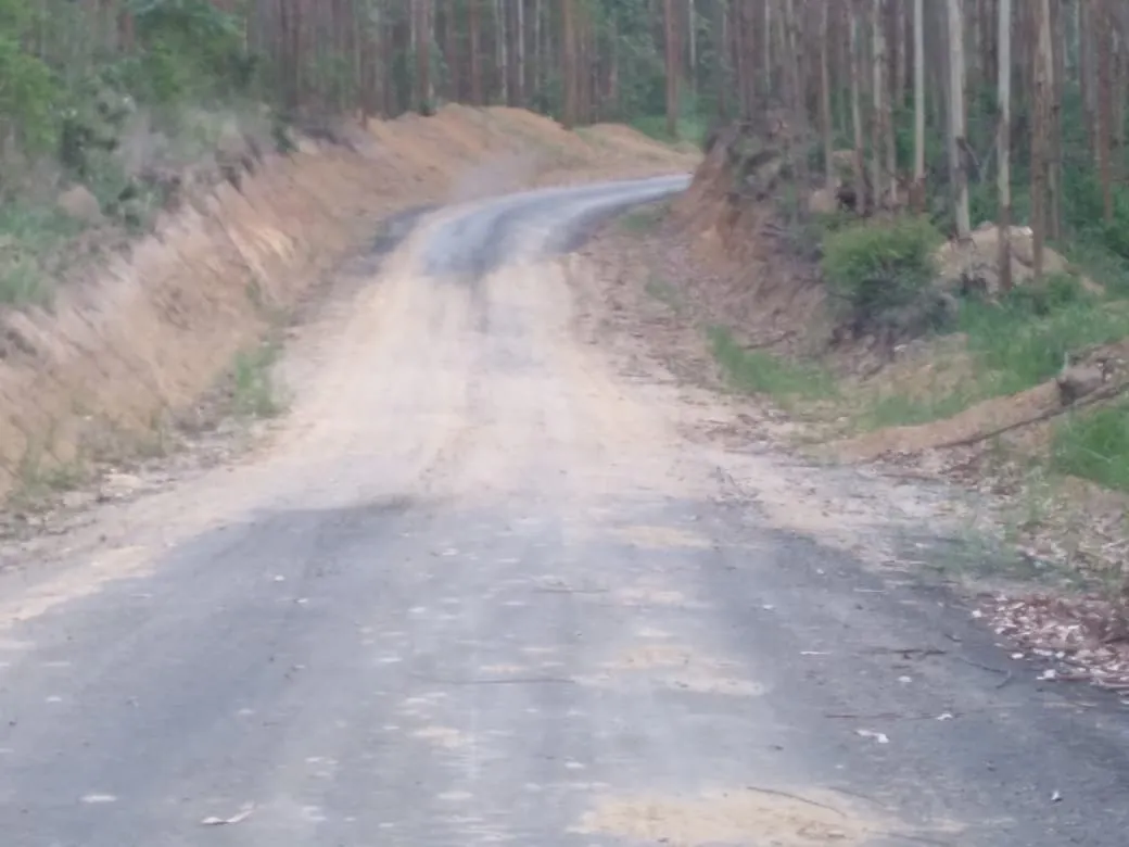 Farm for sale of 4,856 acres in Itapetininga, SP, Brazil