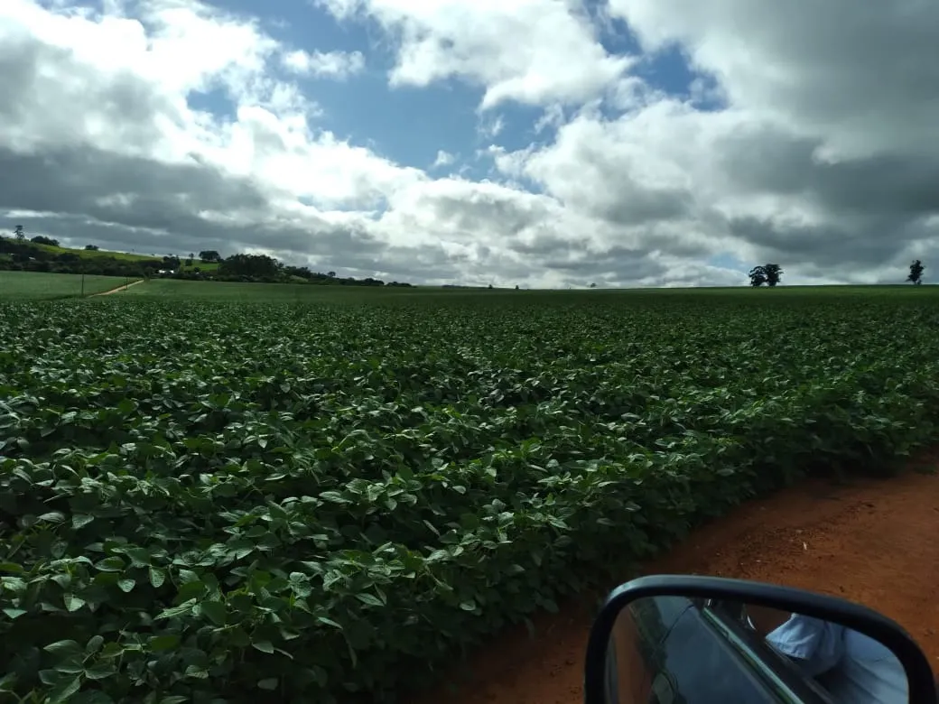 Farm for sale of 4,856 acres in Itapetininga, SP, Brazil