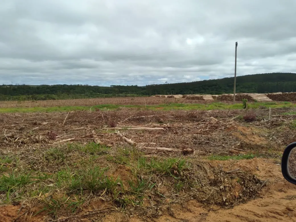 Farm for sale of 4,856 acres in Itapetininga, SP, Brazil