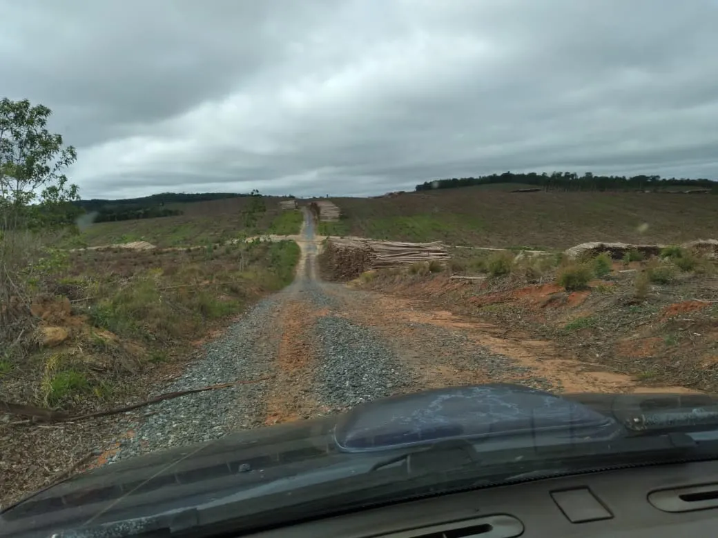 Farm for sale of 4,856 acres in Itapetininga, SP, Brazil