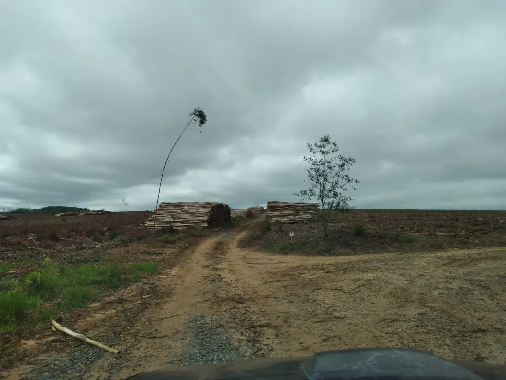 Farm for sale of 4,856 acres in Itapetininga, SP, Brazil