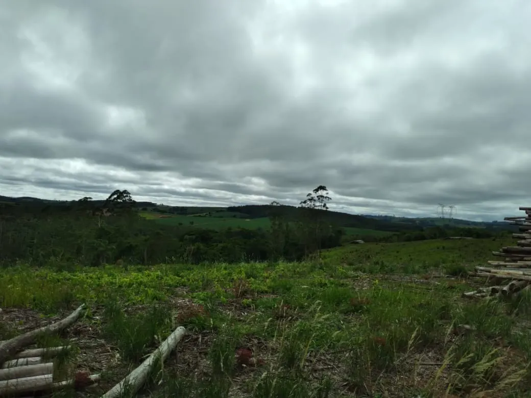 Farm for sale of 4,856 acres in Itapetininga, SP, Brazil