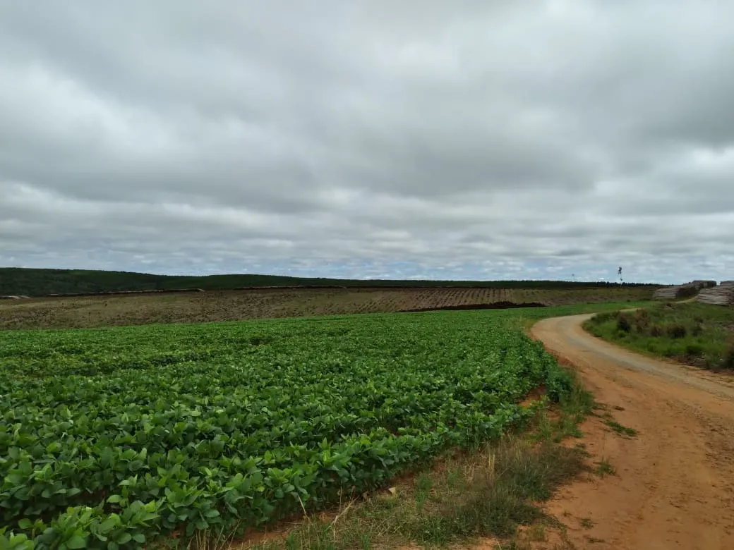 Farm for sale of 4,856 acres in Itapetininga, SP, Brazil