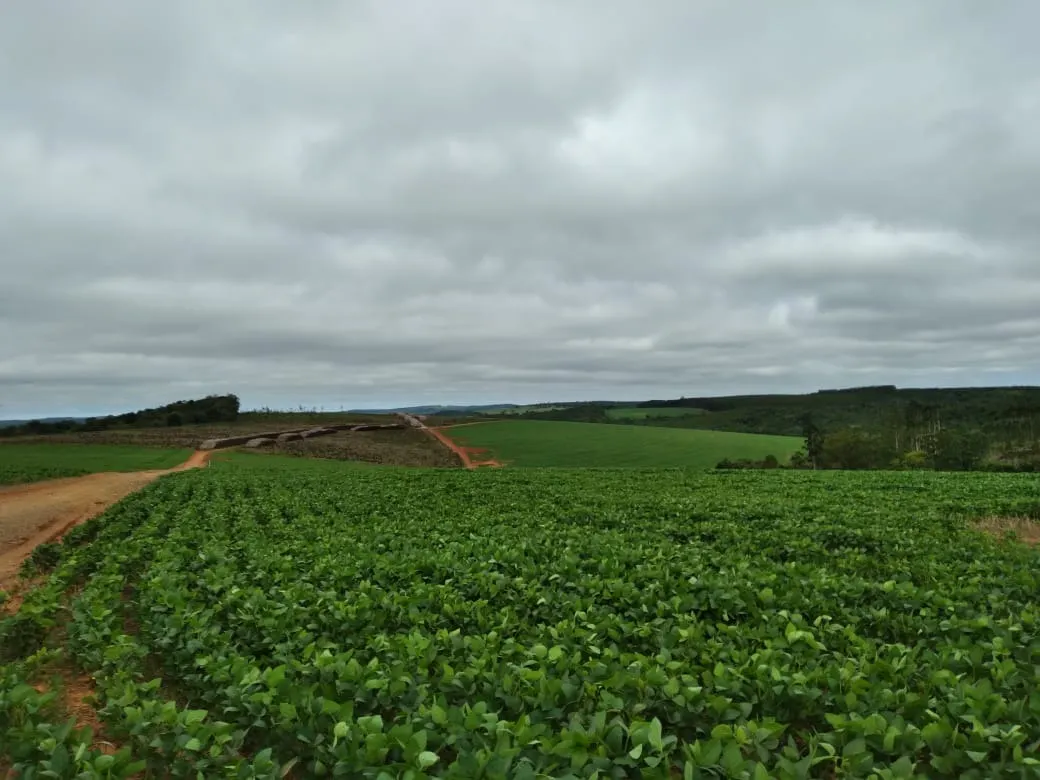 Farm for sale of 4,856 acres in Itapetininga, SP, Brazil
