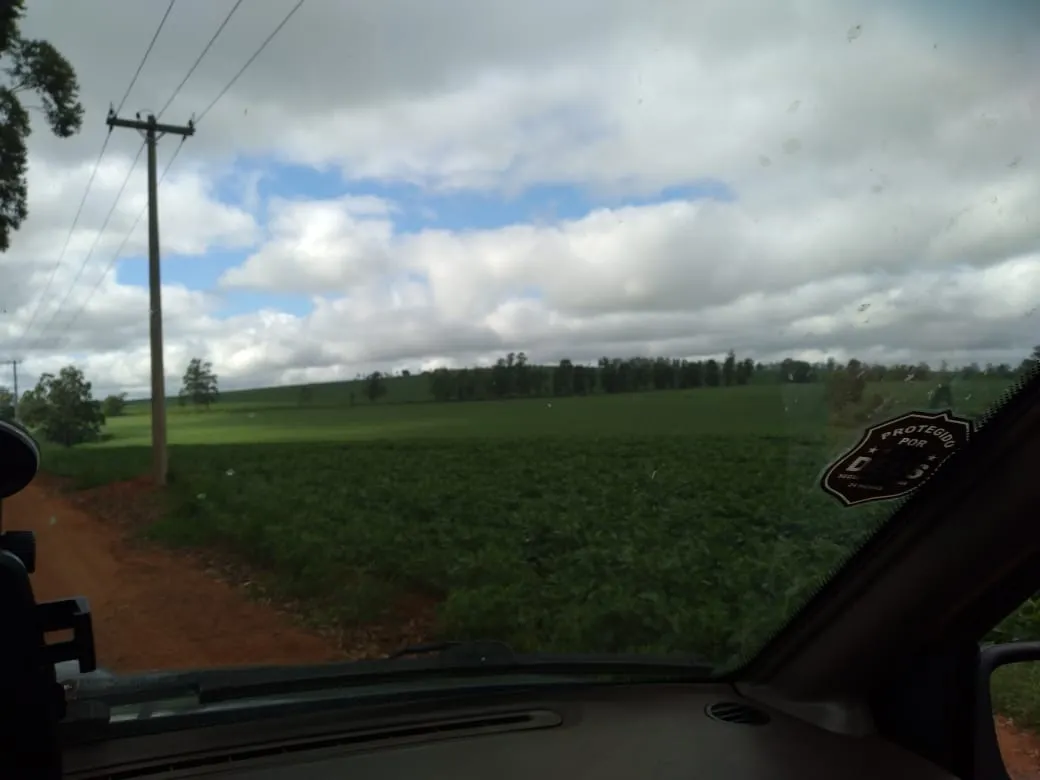 Farm for sale of 4,856 acres in Itapetininga, SP, Brazil