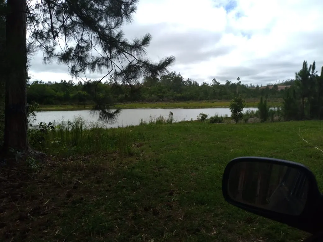 Farm for sale of 4,856 acres in Itapetininga, SP, Brazil
