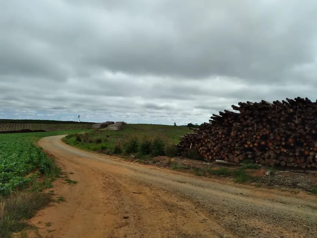 Farm for sale of 4,856 acres in Itapetininga, SP, Brazil