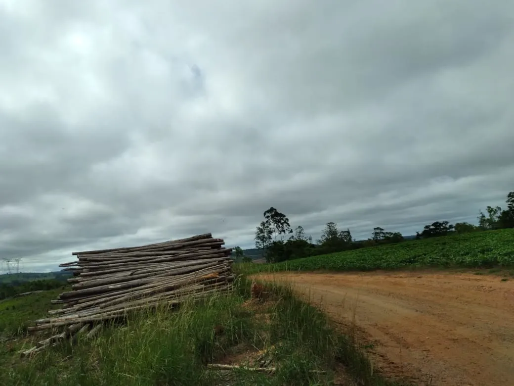 Farm for sale of 4,856 acres in Itapetininga, SP, Brazil