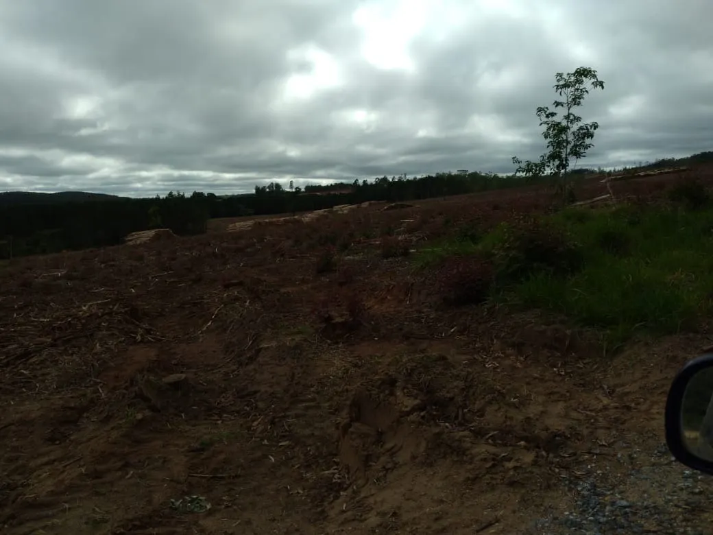 Farm for sale of 4,856 acres in Itapetininga, SP, Brazil