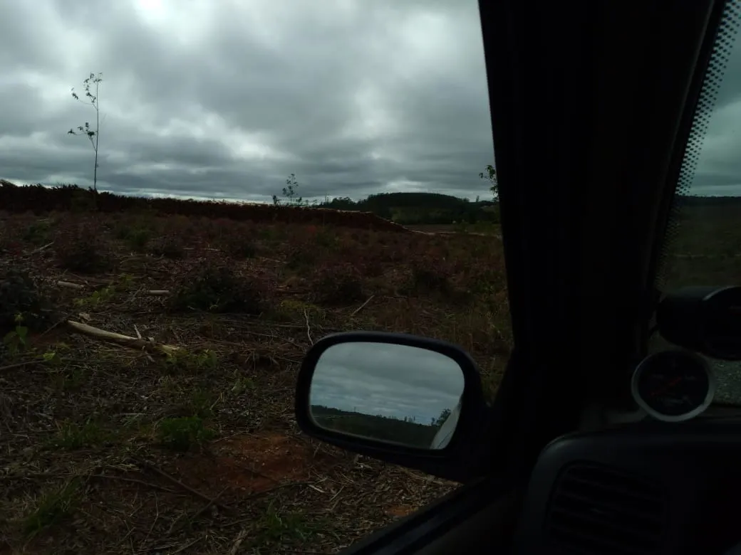 Farm for sale of 4,856 acres in Itapetininga, SP, Brazil