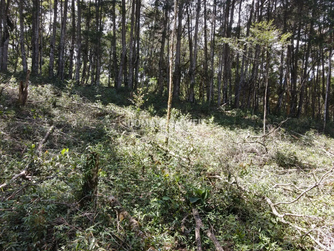 Plot for sale of 2,270 m² in Campos do Jordão, SP, Brazil
