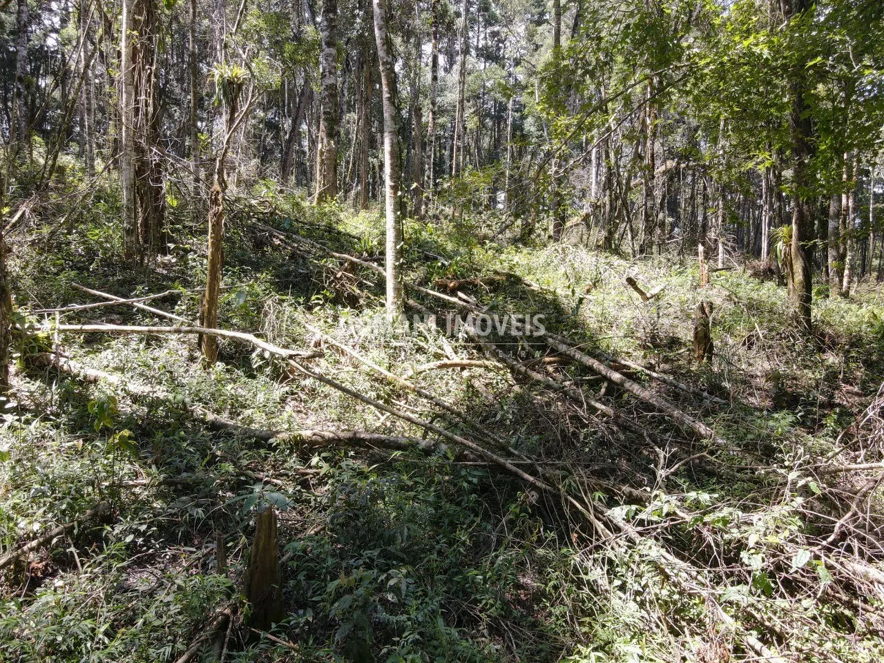 Plot for sale of 2,270 m² in Campos do Jordão, SP, Brazil