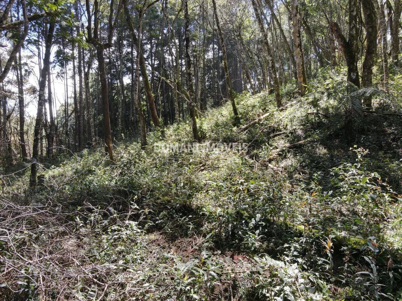 Plot for sale of 2,270 m² in Campos do Jordão, SP, Brazil