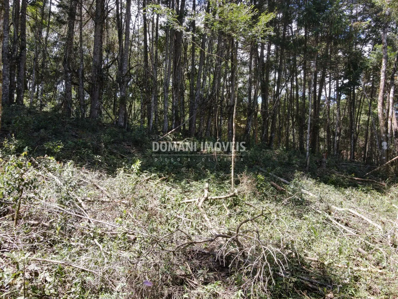 Plot for sale of 2,270 m² in Campos do Jordão, SP, Brazil