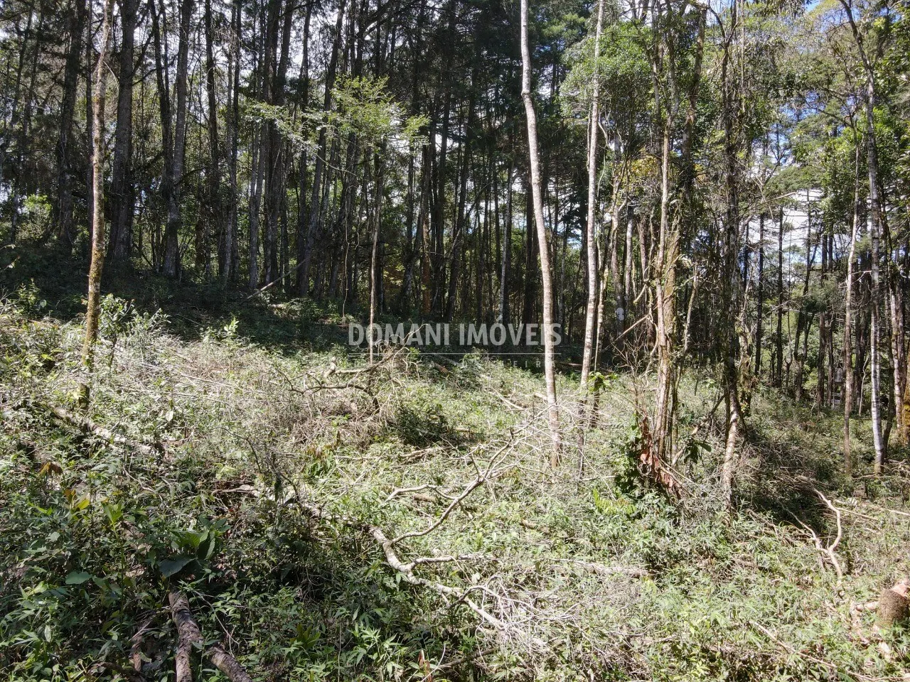 Plot for sale of 2,270 m² in Campos do Jordão, SP, Brazil