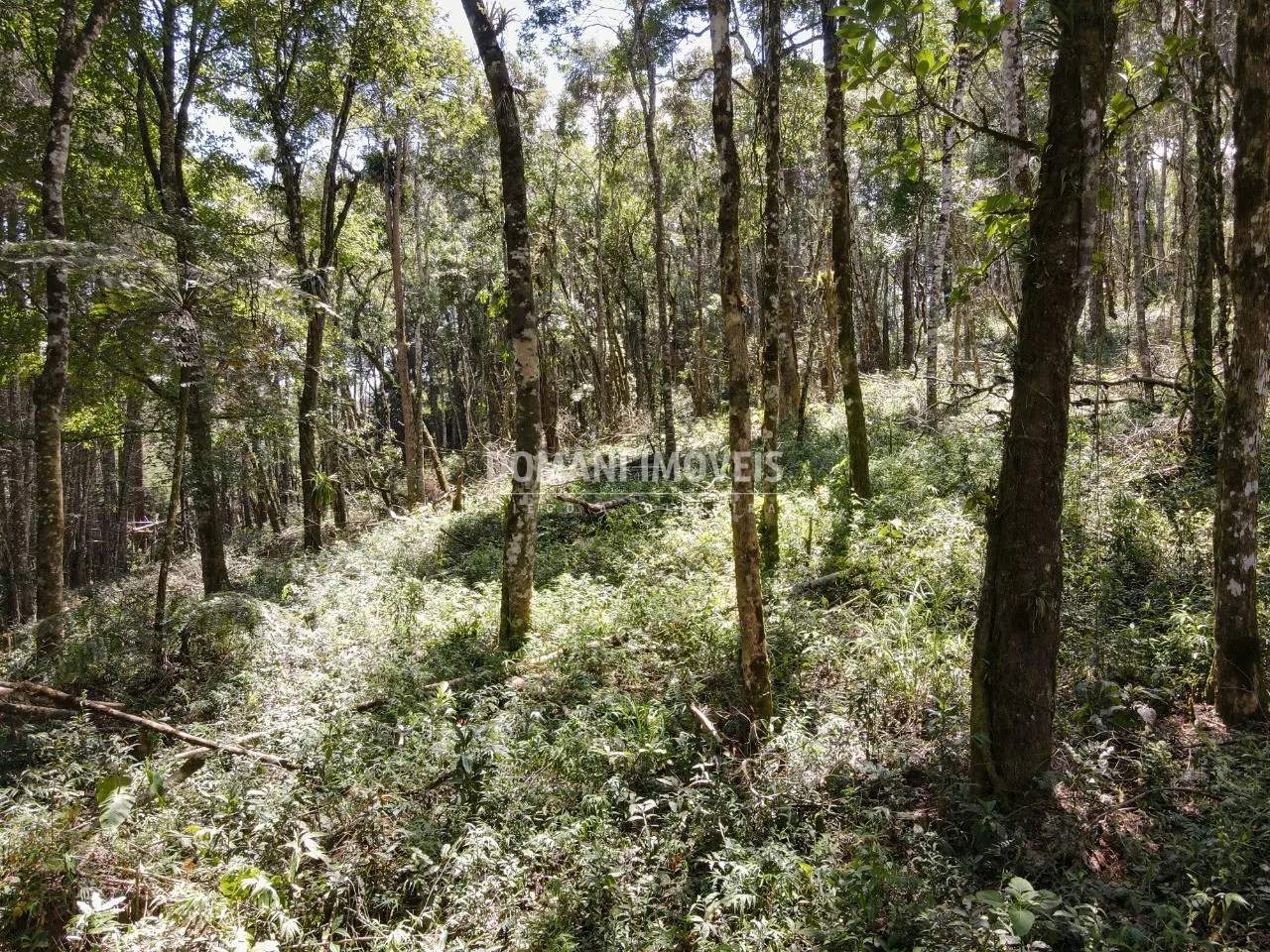 Plot for sale of 2,270 m² in Campos do Jordão, SP, Brazil