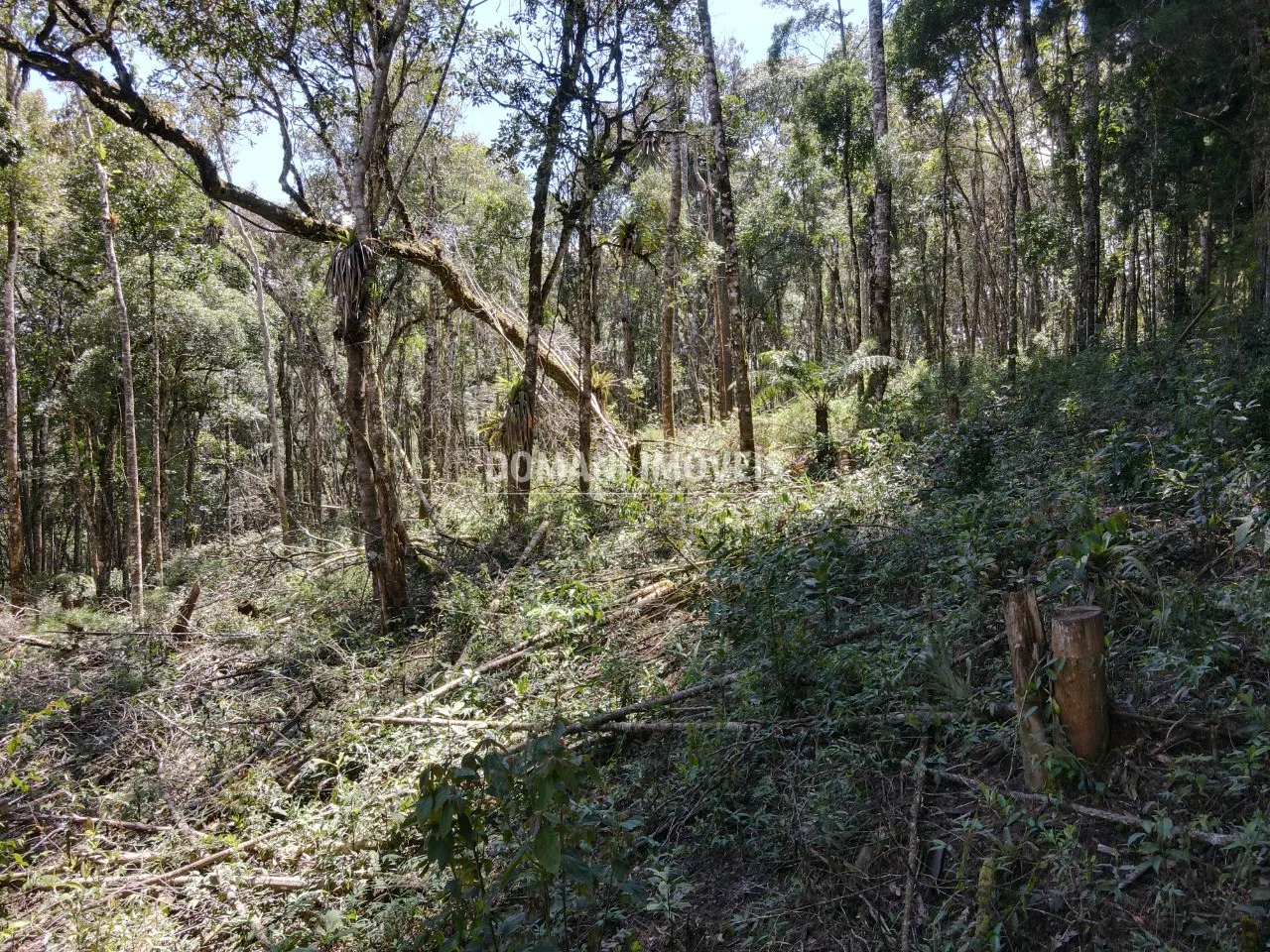 Plot for sale of 2,270 m² in Campos do Jordão, SP, Brazil