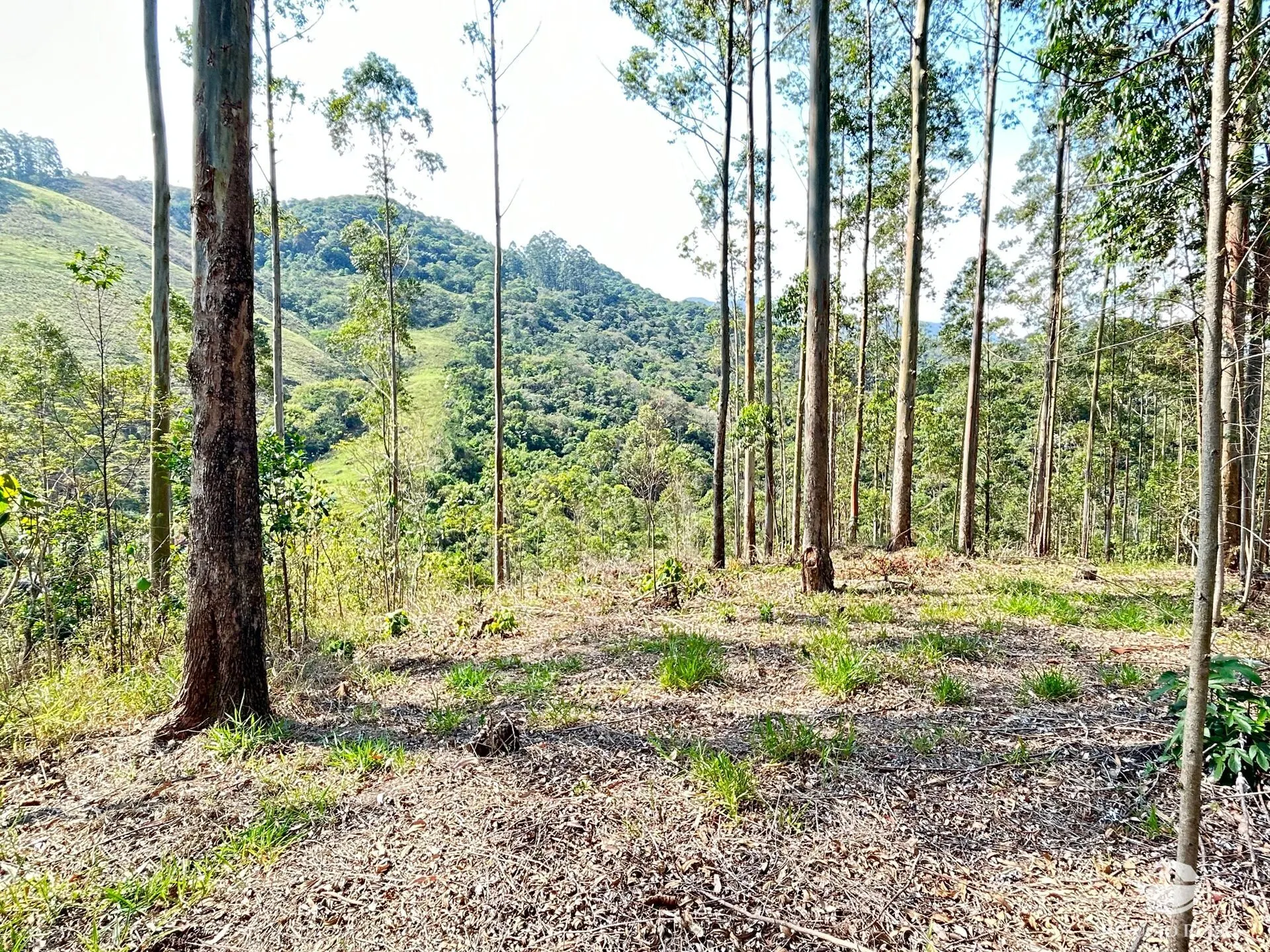 Chácara à venda de 2 ha em São José dos Campos, SP, Brasil