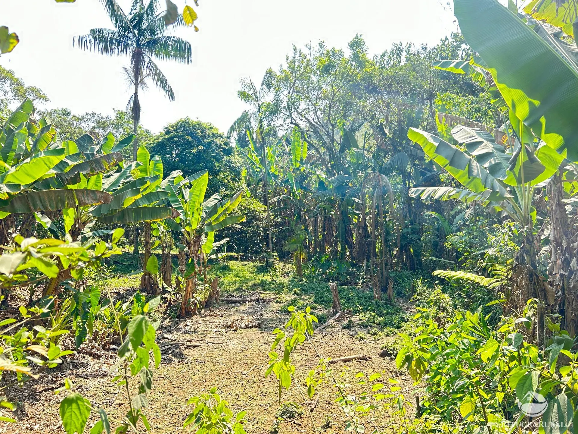 Chácara à venda de 2 ha em São José dos Campos, SP, Brasil