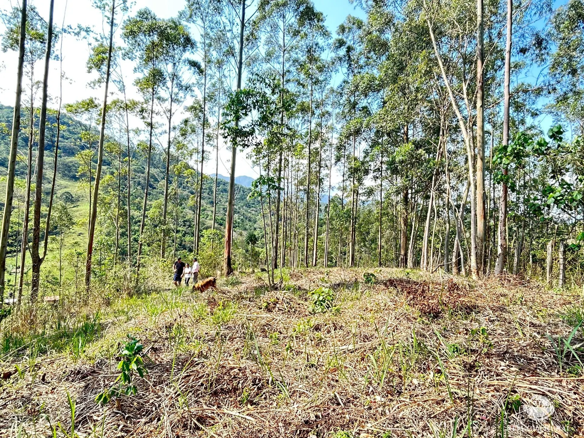 Chácara à venda de 2 ha em São José dos Campos, SP, Brasil