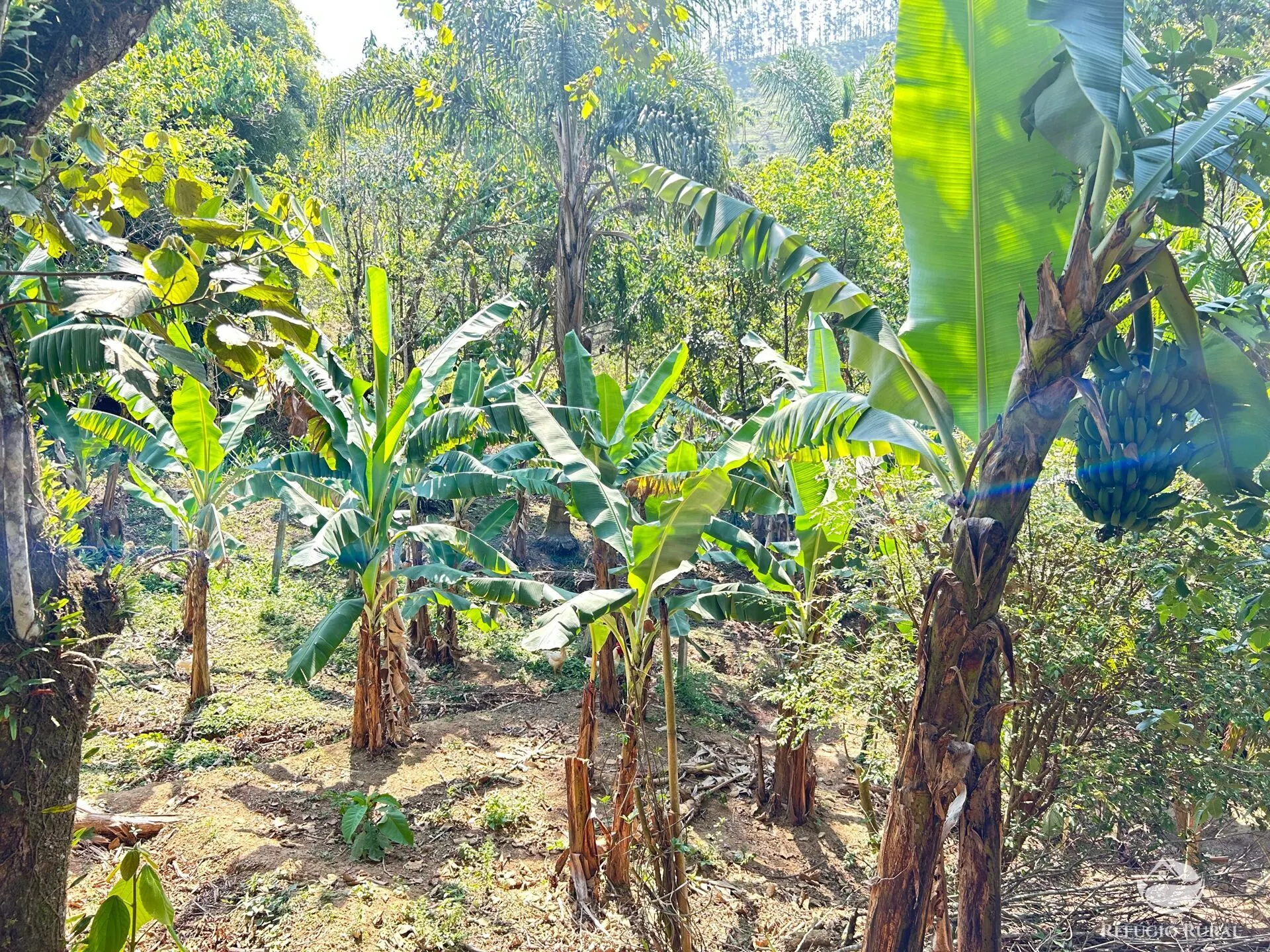 Chácara à venda de 2 ha em São José dos Campos, SP, Brasil