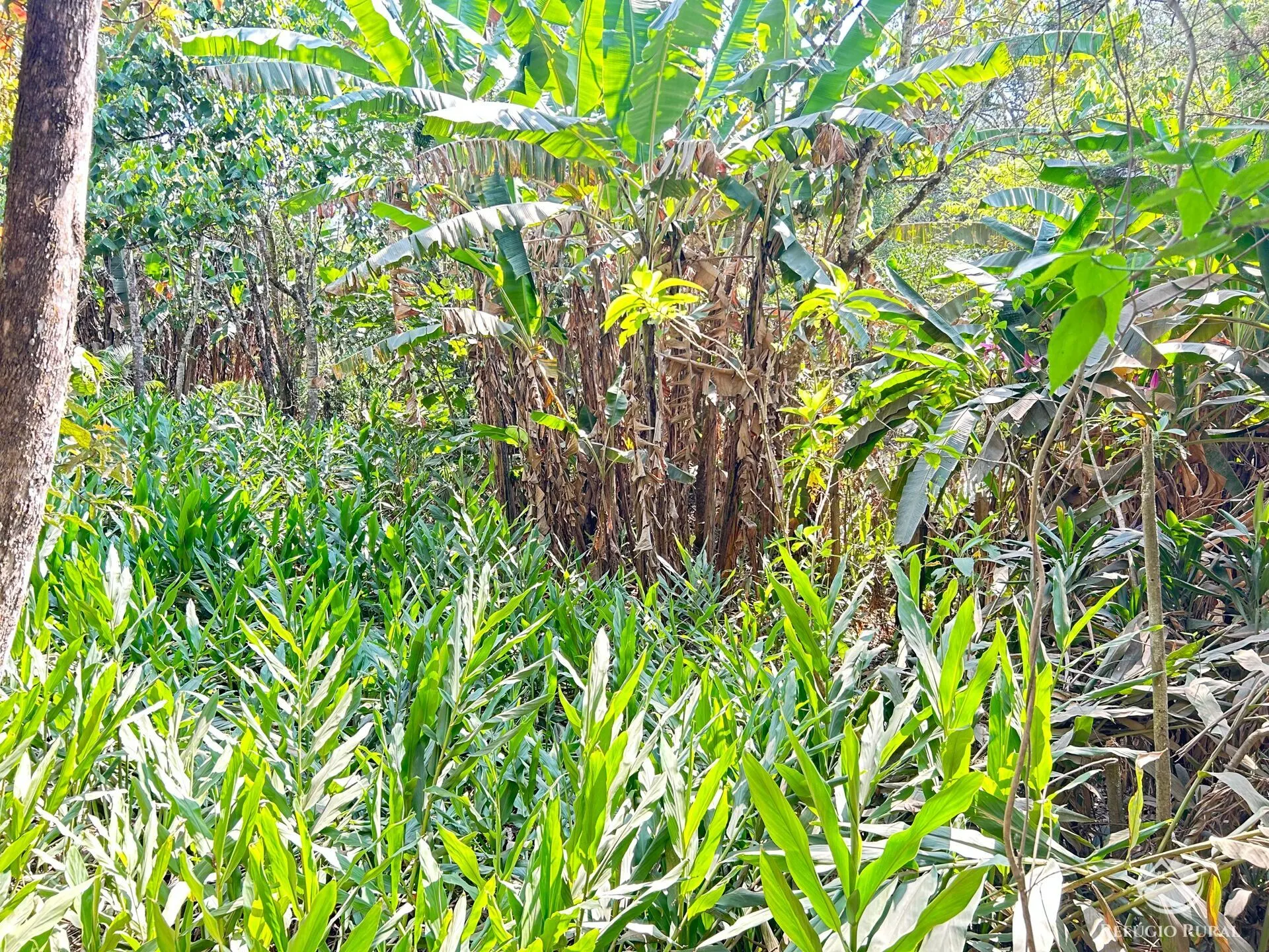 Chácara à venda de 2 ha em São José dos Campos, SP, Brasil