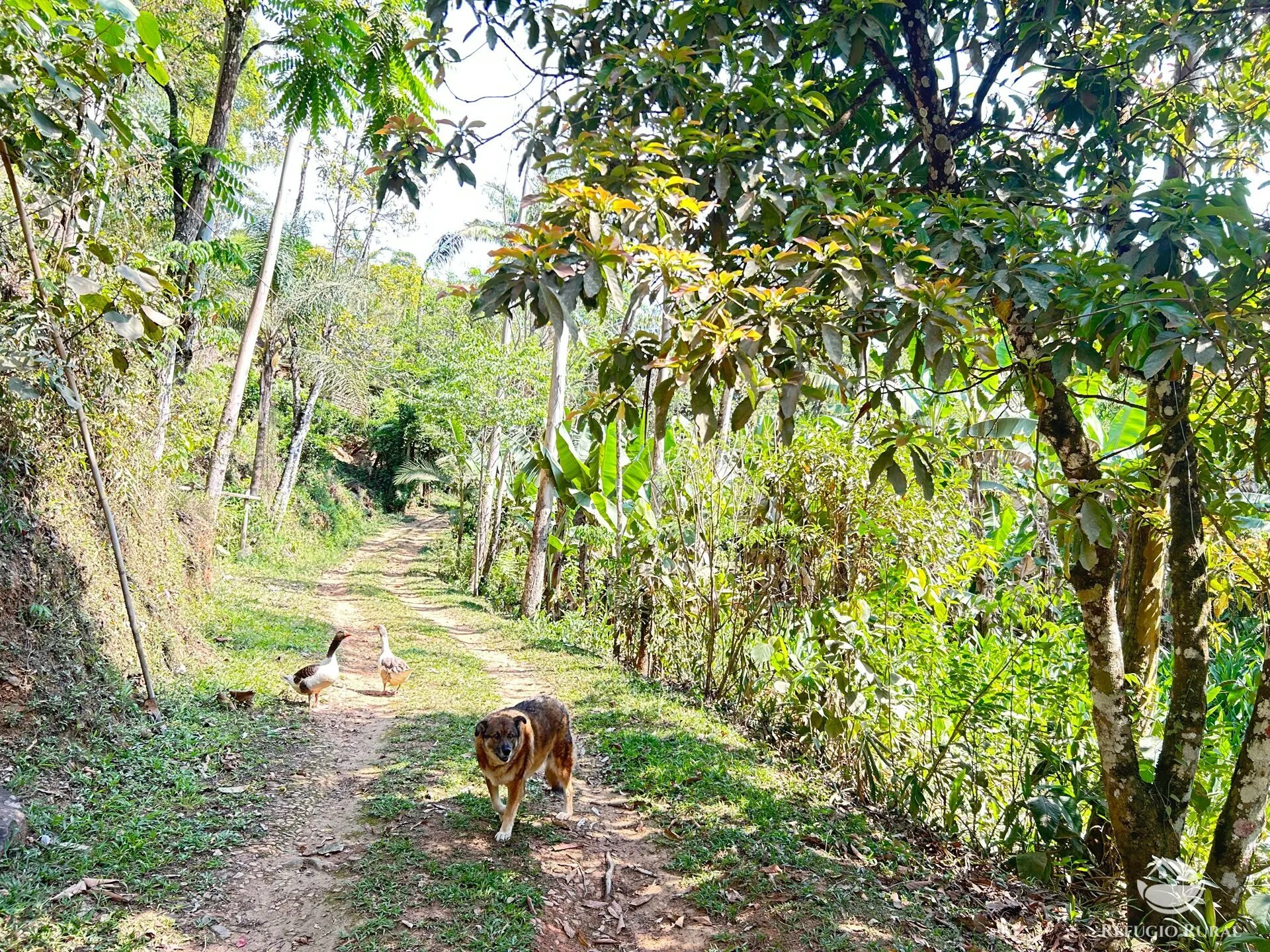 Chácara à venda de 2 ha em São José dos Campos, SP, Brasil