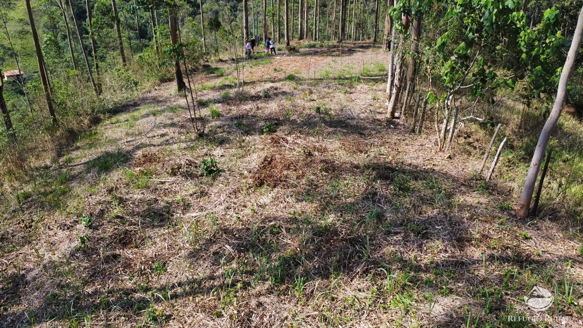 Chácara à venda de 2 ha em São José dos Campos, SP, Brasil